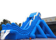 Heavy Duty Blow Up Dry and Wet Slides For Children / Adults Eco Friendly