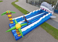 Two Lanes Inflatable Bungee Run , Inflatable Amusement Park For Children