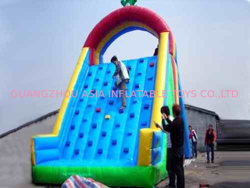 Inflatable Amusement Park Games 7m Blue Rock Climbing Mountain For Kids